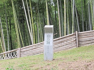 大阪みどり百選の竹林