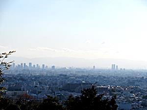 桜広場展望台からの眺望