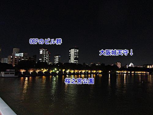 銀橋から見た夜の大阪城