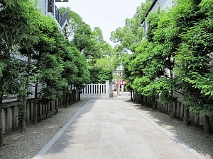 正面から入ったところ