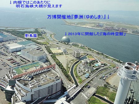 展望台からの景色