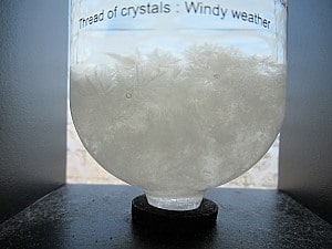 きれいな樹枝状結晶