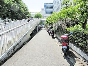 駐輪しているけれど