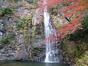 紅葉の箕面の滝