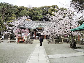 桜のころの境内