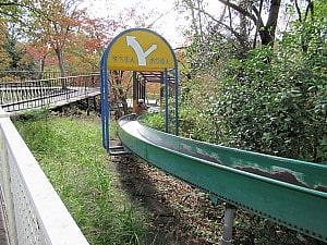冒険の森滑り台