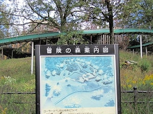 中央公園 冒険の森