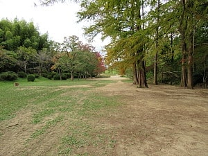 公園内
