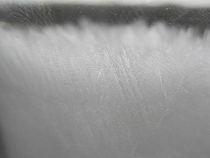 結晶も見えます