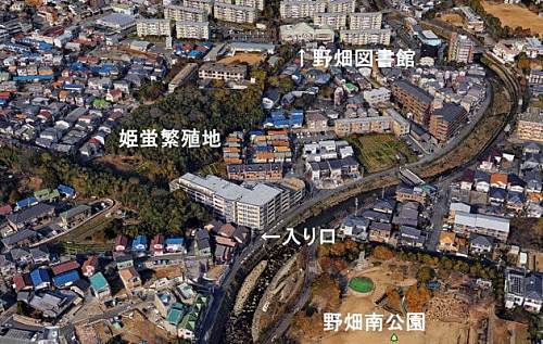 周辺グーグルアース