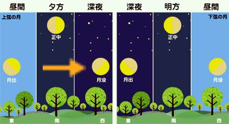 上弦の月の解説ウエザーニュースさんの例