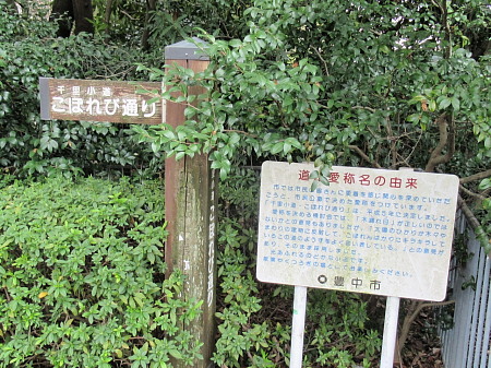 こぼれび通り