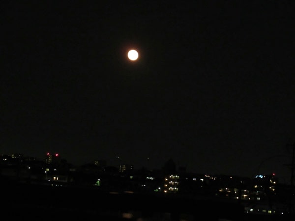 ストロベリームーンの翌日の月