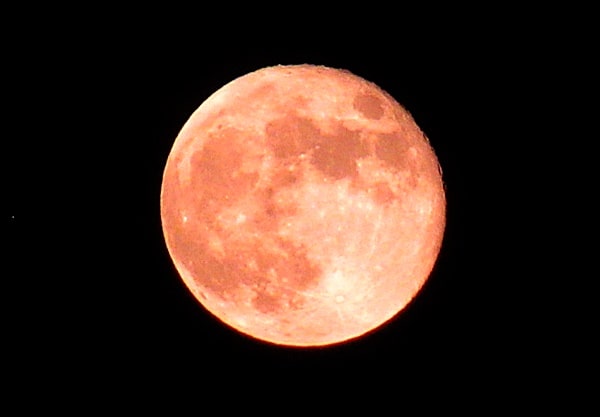 ストロベリームーンの翌日の月