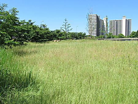 ガンバロウ日本のモニュメント1