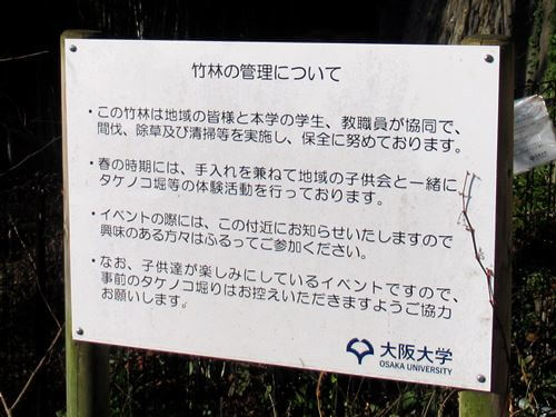 管理竹林