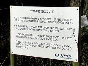 管理竹林
