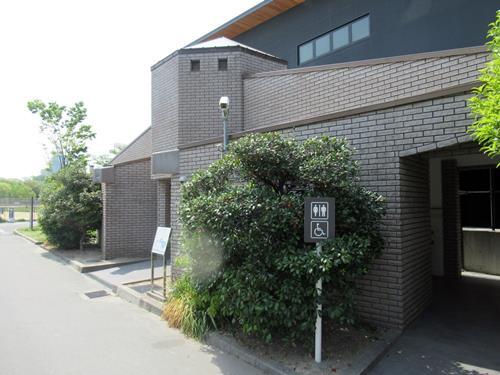 ⑥野球場横