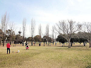 花博公園