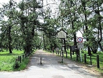 レンタサイクルで移動