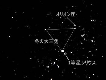 冬の大三角もわかります