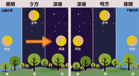 上下弦の月 ウェザーニュースHPより