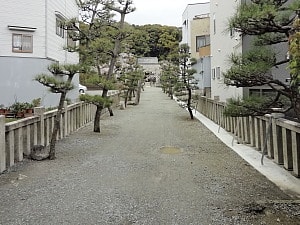 豊中春日神社の全容
