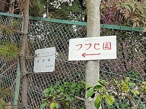 つつじ園も管理しています