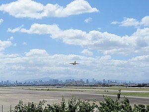 展望台からのビュー