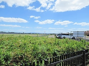 飛行機を見るところ
