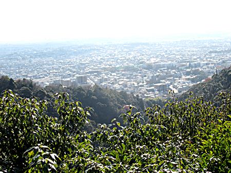 展望台からの景観