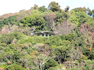 反対側の山から見た展望台