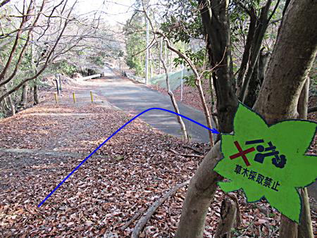 ここから下ります