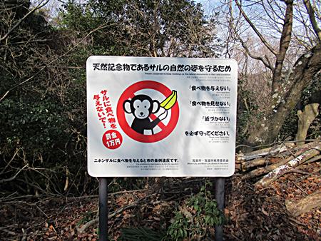 猿に注意