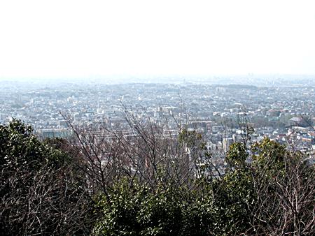 展望台からの大阪平野眺望