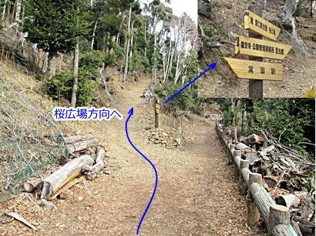 桜広場への分岐点