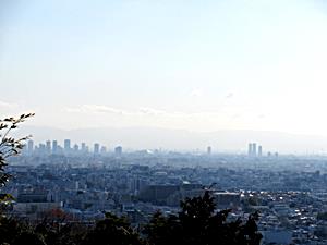 桜広場展望台からの眺望