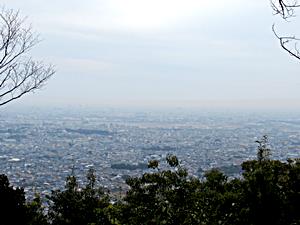 望海の丘からの眺望