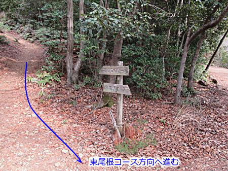 東尾根方面へ