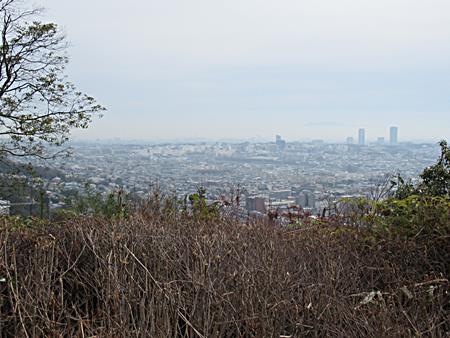 憩いの広場からの眺望