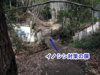 イノシシ対策