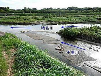 千里川が猪名川に合流