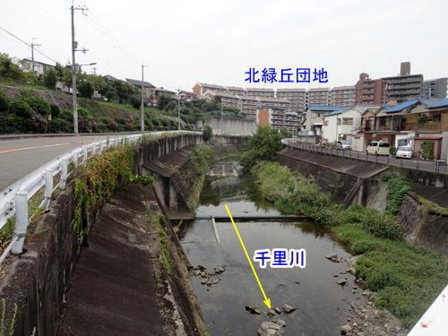 ロマンチック街道を越えたところ