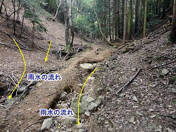 ほぼ源流域