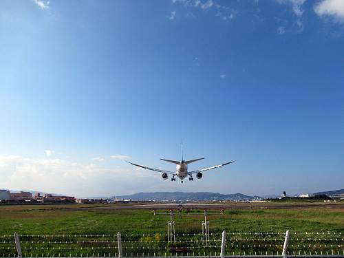 着陸する飛行機を土手から見る
