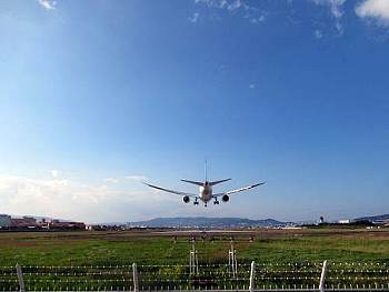 土手から見た着陸風景