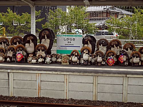 信楽駅のたぬき