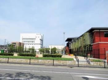 音大と森友学園
