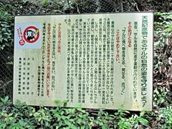 サルへの注意喚起
