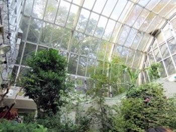 昆虫館の蝶の飛ぶ温室